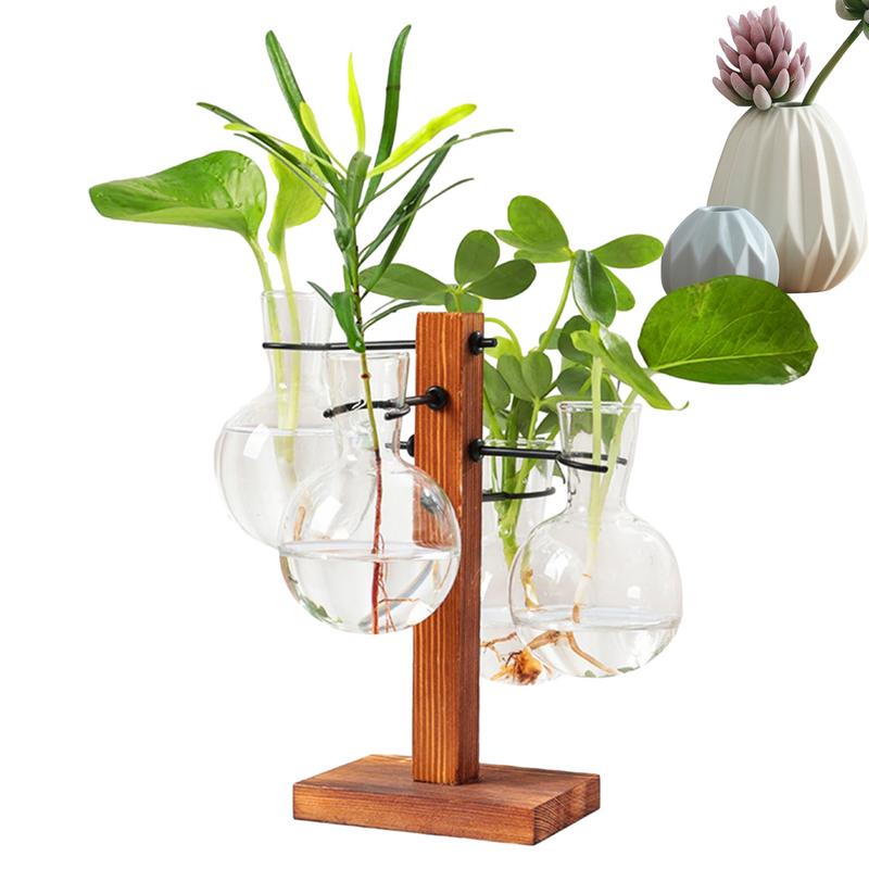 Terrarium With Stand Terrarium - Propagation Station Vase 评论和价格
