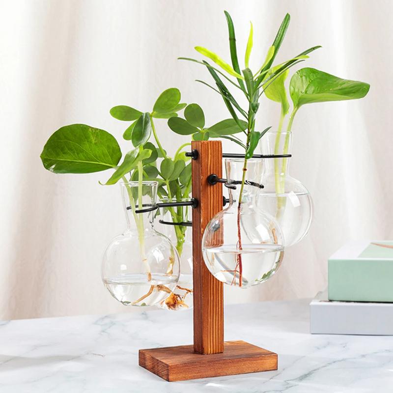 Terrarium With Stand Terrarium - Propagation Station Vase 评论和价格