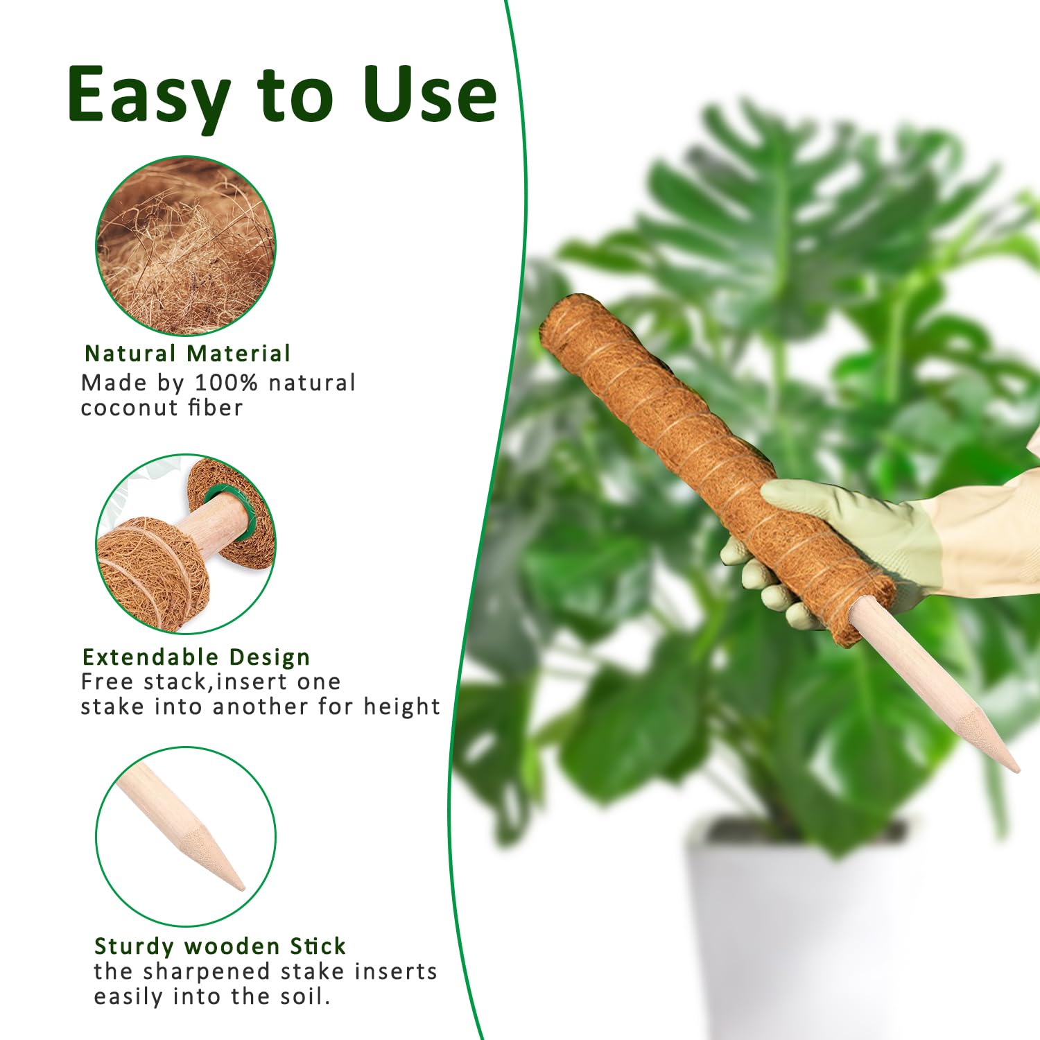 Moss Pole 38/43/53CM Monstera  - Sphagnum Moss Dry 评论和价格