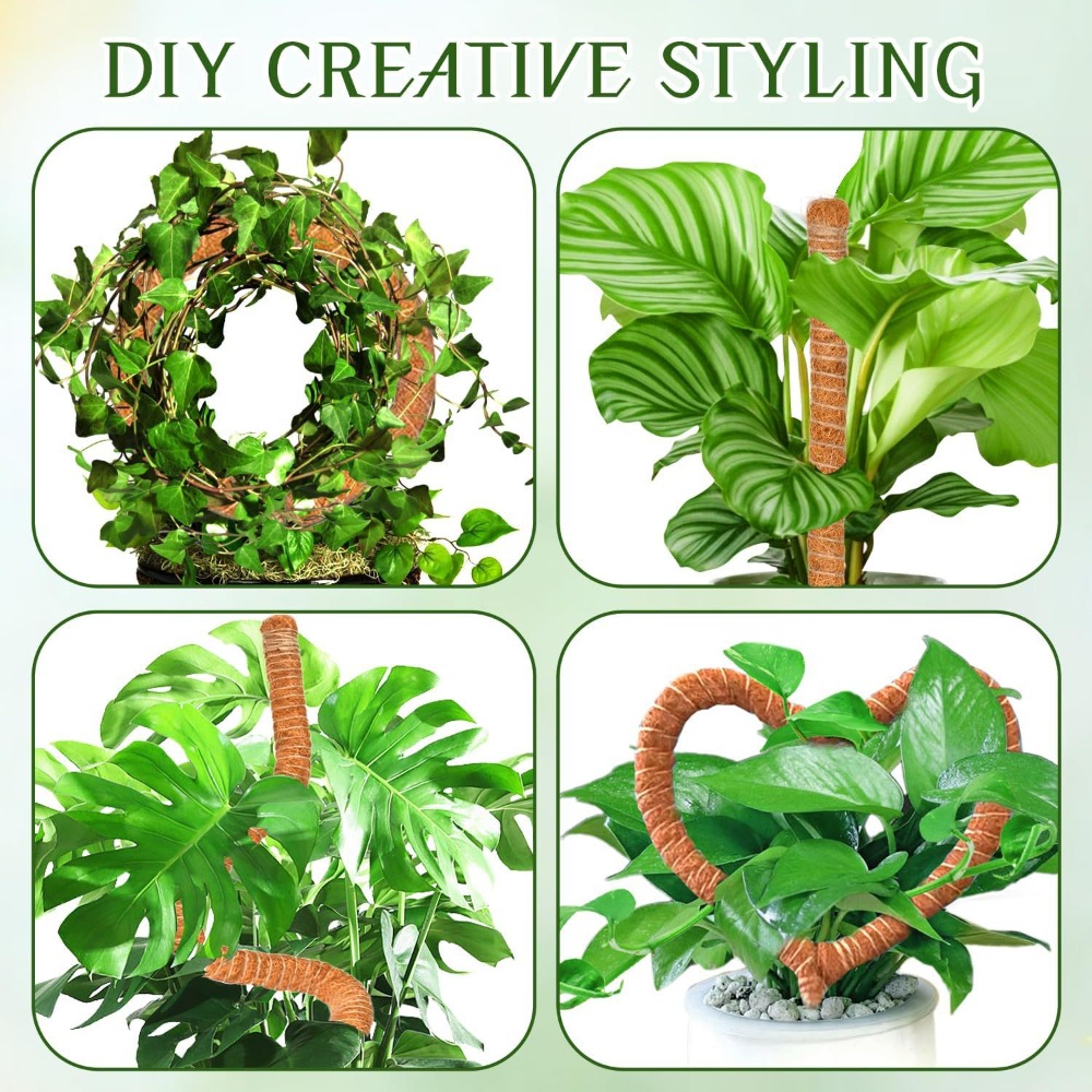 30-100cm Bendable Plants Climb - Sphagnum Moss Dry 评论和价格