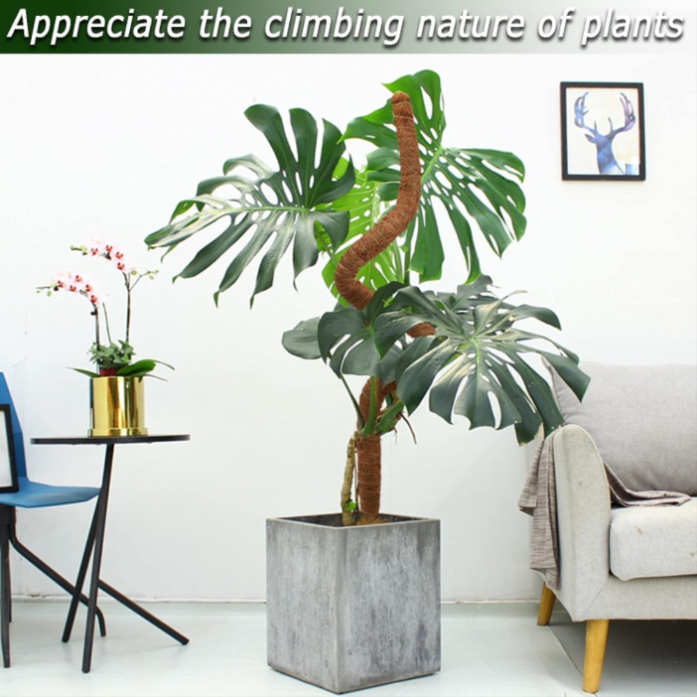 30-100cm Bendable Plants Climb - Sphagnum Moss Dry 评论和价格