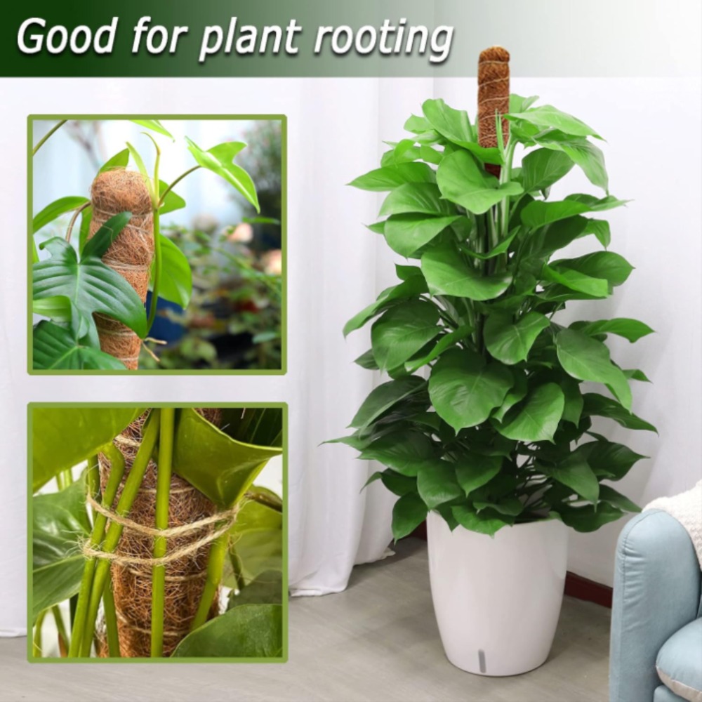 30-100cm Bendable Plants Climb - Sphagnum Moss Dry 评论和价格