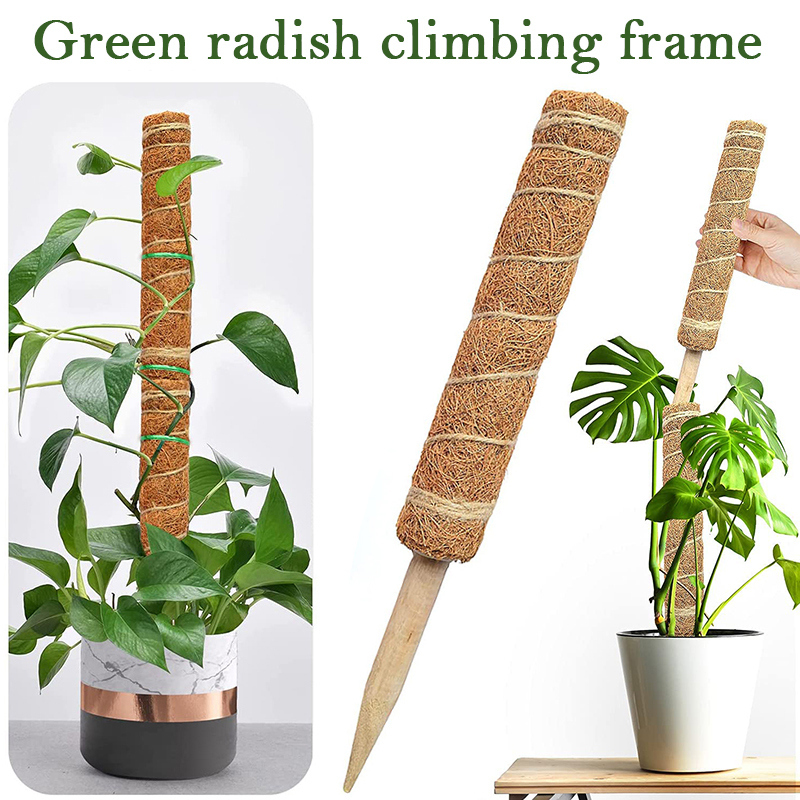 30/40/50cm Plant Climbing Coir - Sphagnum Moss Dry 评论和价格