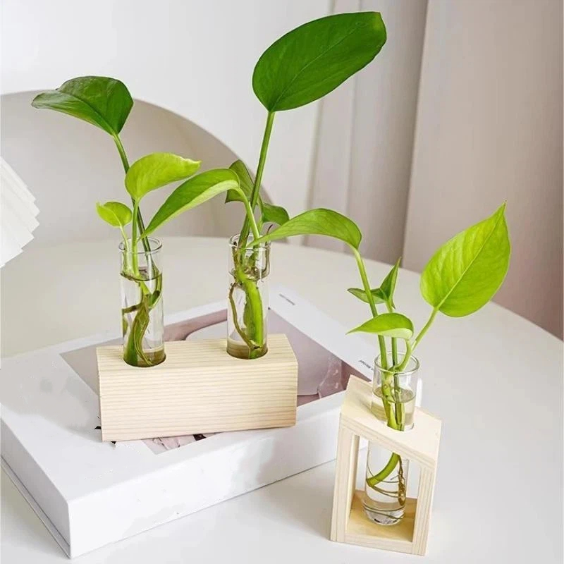 Test Tube Glass Vase Plant Pro - Propagation Station Vase 评论和价格