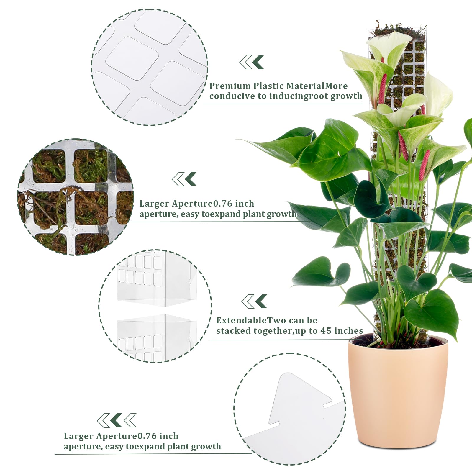Moss Pole Plastic Plant Stand  - Sphagnum Moss Dry 评论和价格