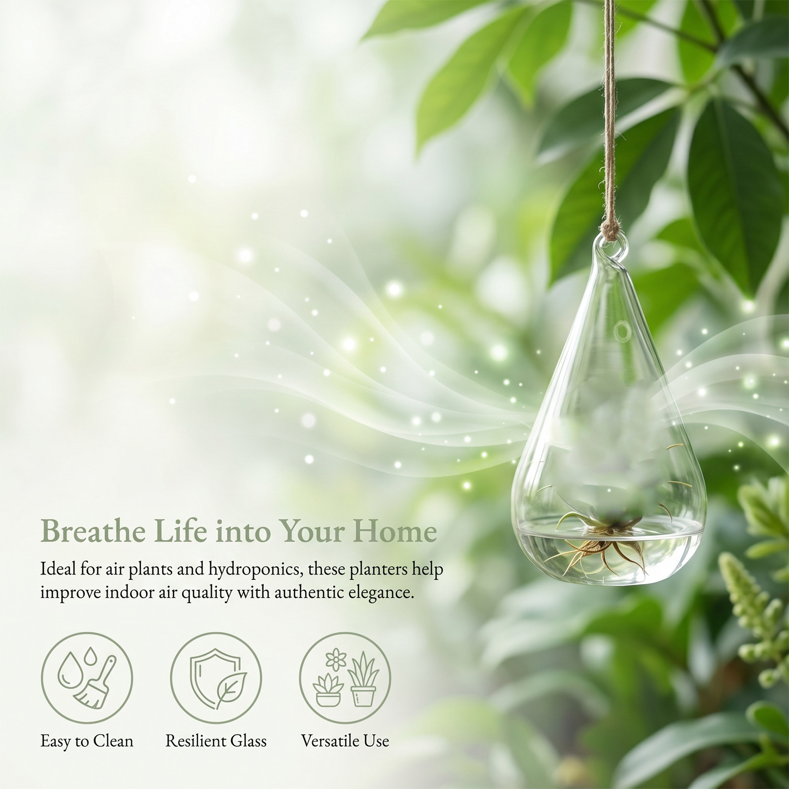 4Pcs Glass Hanging Planters Hy - Propagation Station Vase 评论和价格